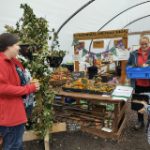 CCI - Gardeners Den & Community Swapshop 3